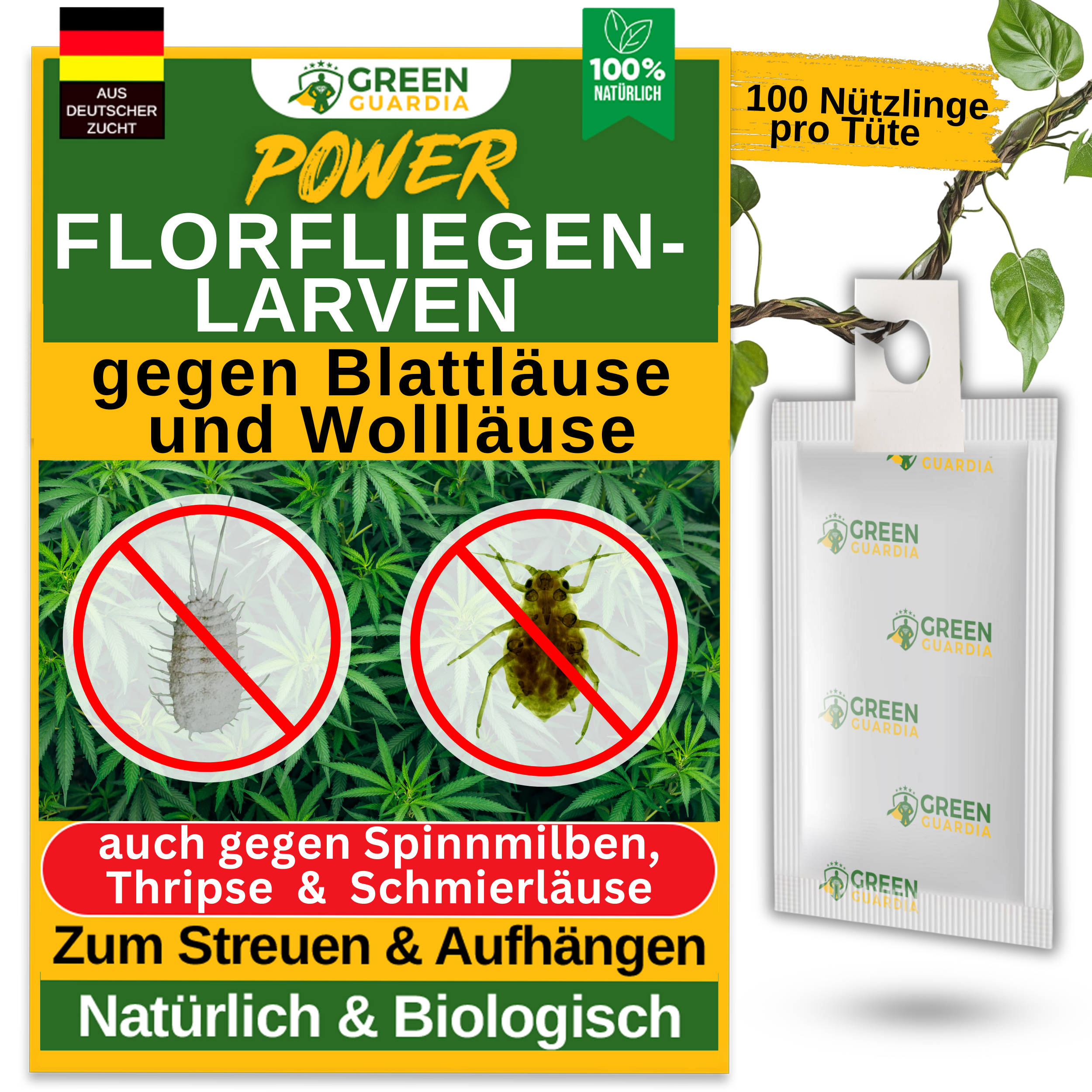 Florfliegenlarven-Eier gegen Blattläuse, Wollläuse zum Aufhängen oder Streuen