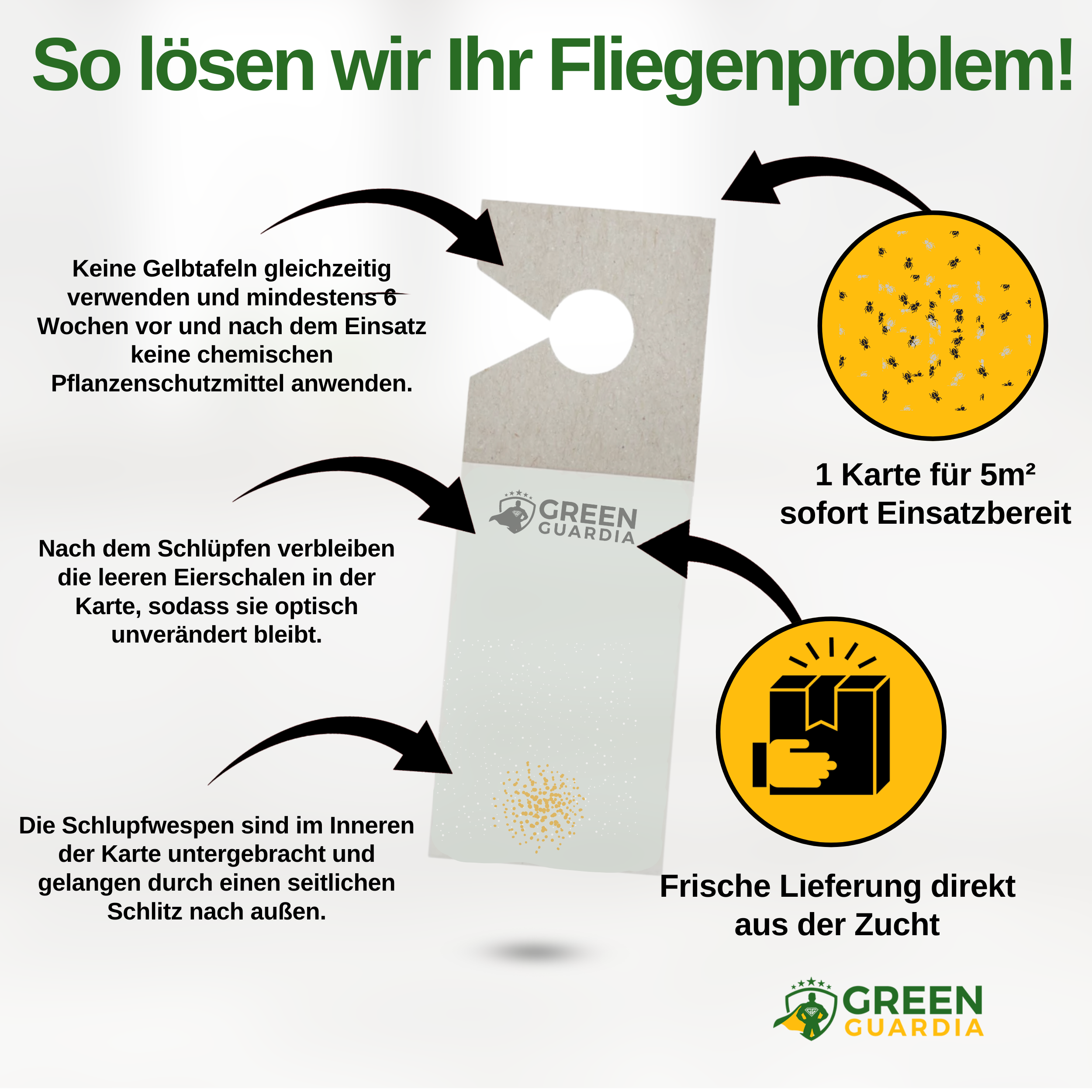 Encarsia-Schlupfwespen gegen Weiße Fliegen