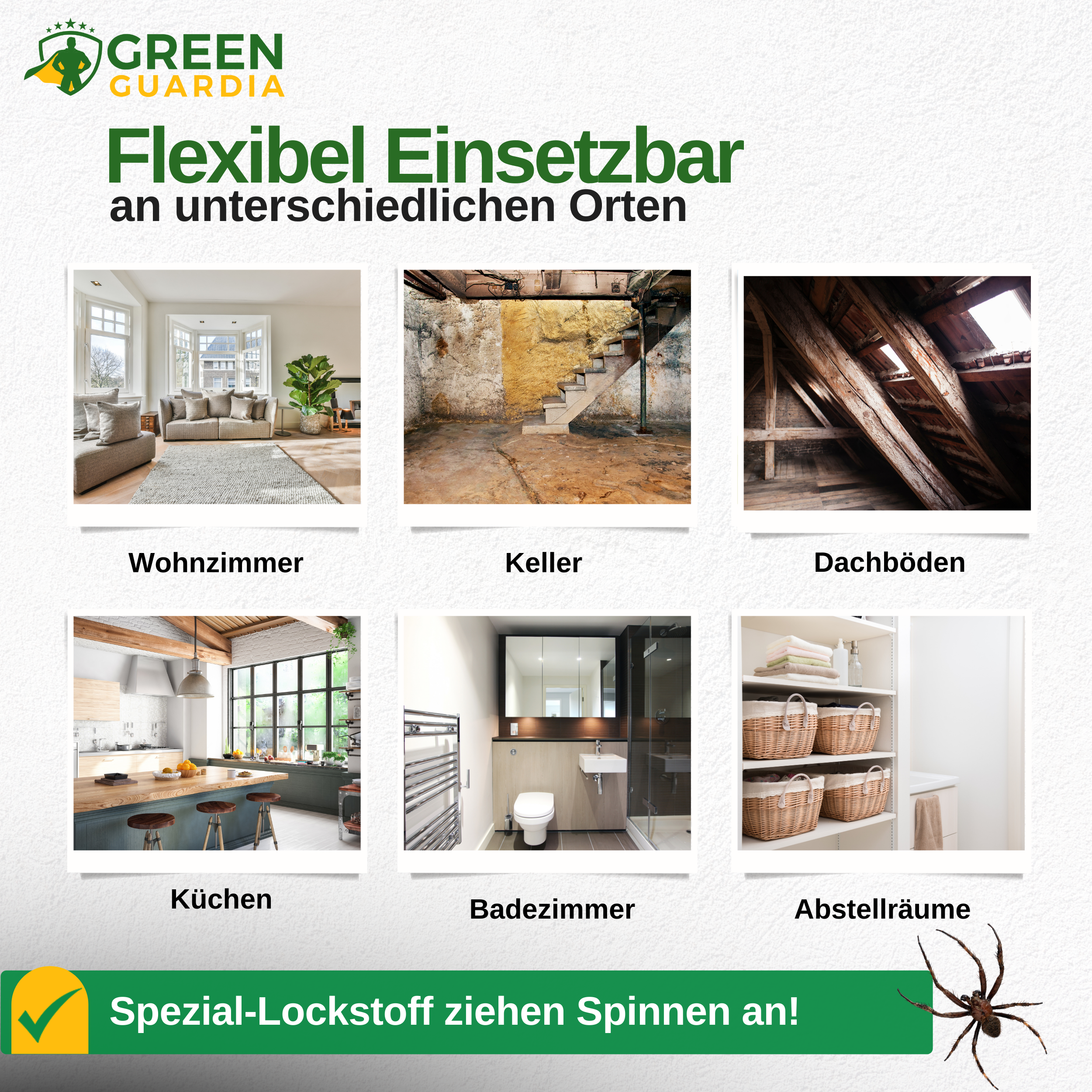 Spinnen Falle mit Spezial-Lockstoff