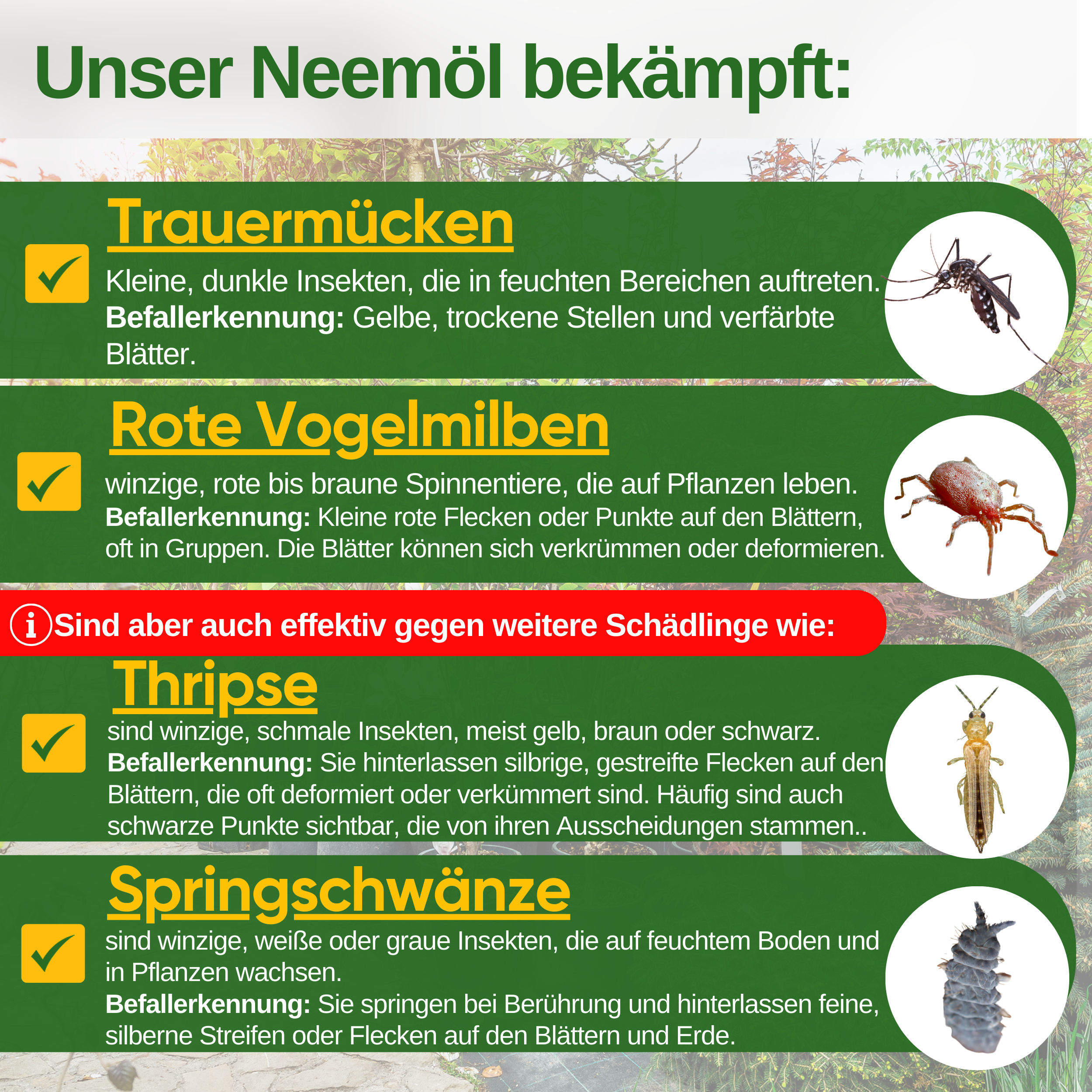 Power Neemöl gegen Trauermücken