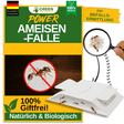 Ant trap