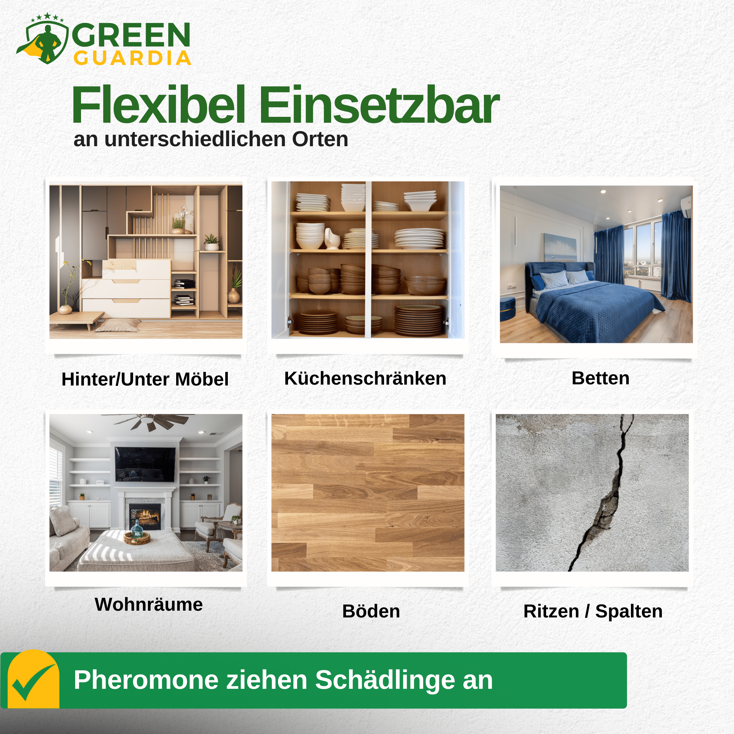 Bettwanzen Falle mit Pheromon - Lockstoff - Green Guardia - Ihr Experte für Schädlinge und Pflanzen