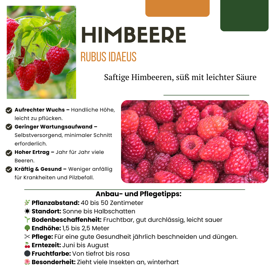 BIO Obstpflanzen - Mix „Früchte - Party“ – 3 verschiedene Obstsorten - Green Guardia - Ihr Experte für Schädlinge und Pflanzen