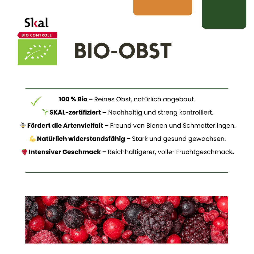 BIO Obstpflanzen - Mix „Sommerfrüchte“ – Set mit 4 Sorten - Green Guardia - Ihr Experte für Schädlinge und Pflanzen