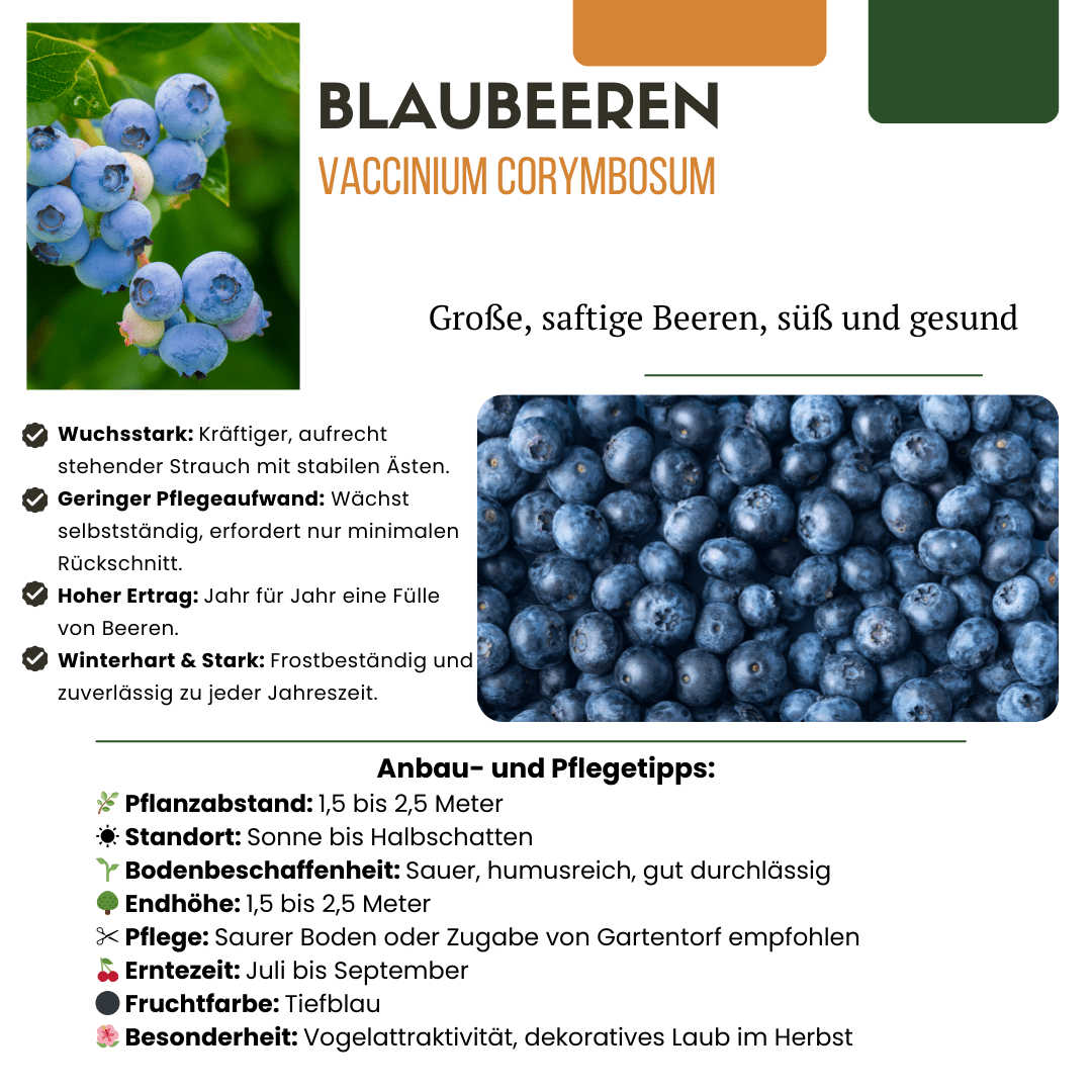 BIO Obstpflanzen - Set „Früchte - Oase“ – Mix aus 5 Sorten - Green Guardia - Ihr Experte für Schädlinge und Pflanzen