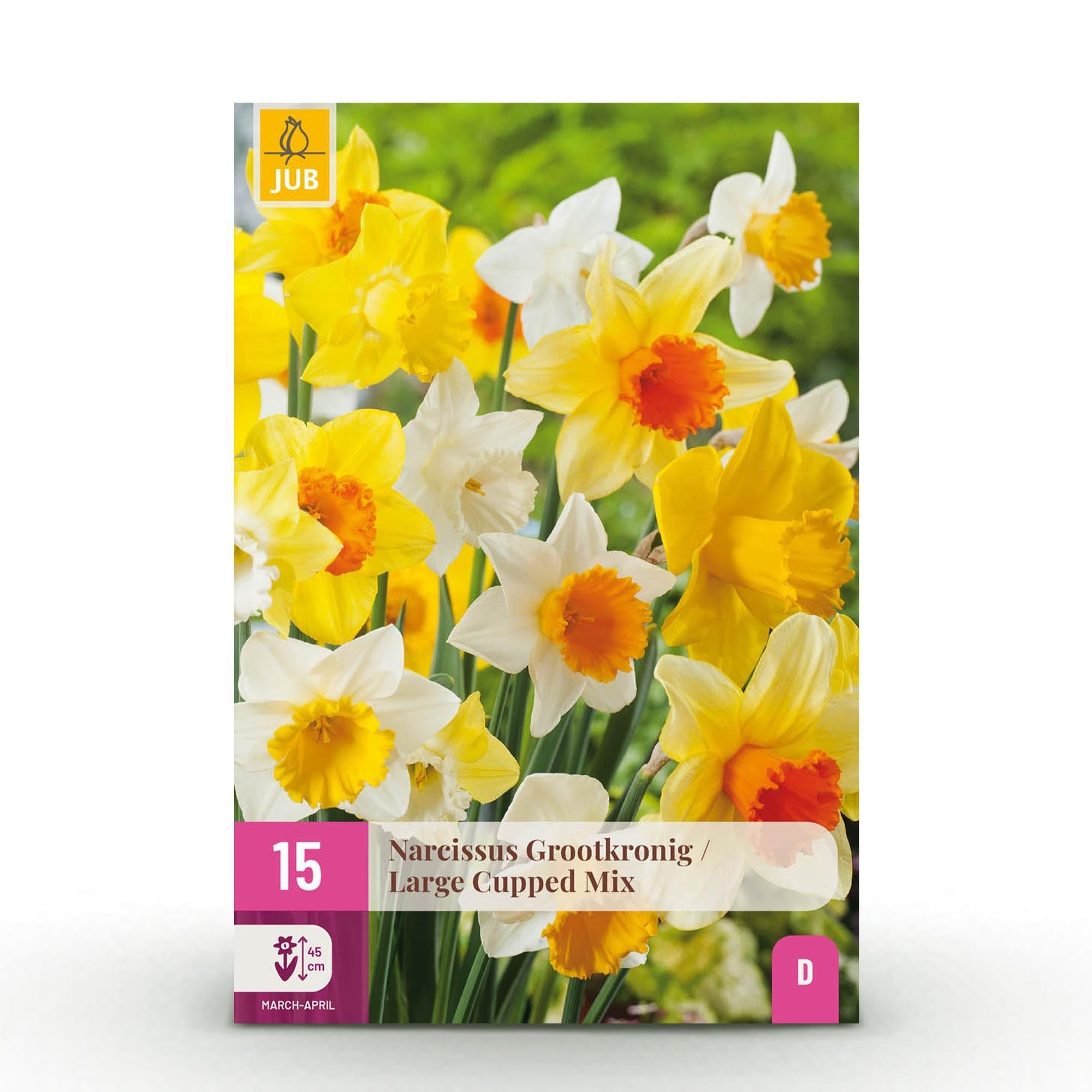 Blumenzwiebeln – Narzisse Large Cupped Mix – winterhart & mehrjährig – gelb & weiß – 15 Stück – Zwiebelgröße 12/14 – XXL Pack - Green Guardia - Ihr Experte für Schädlinge und Pflanzen