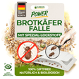 Bread beetle trap