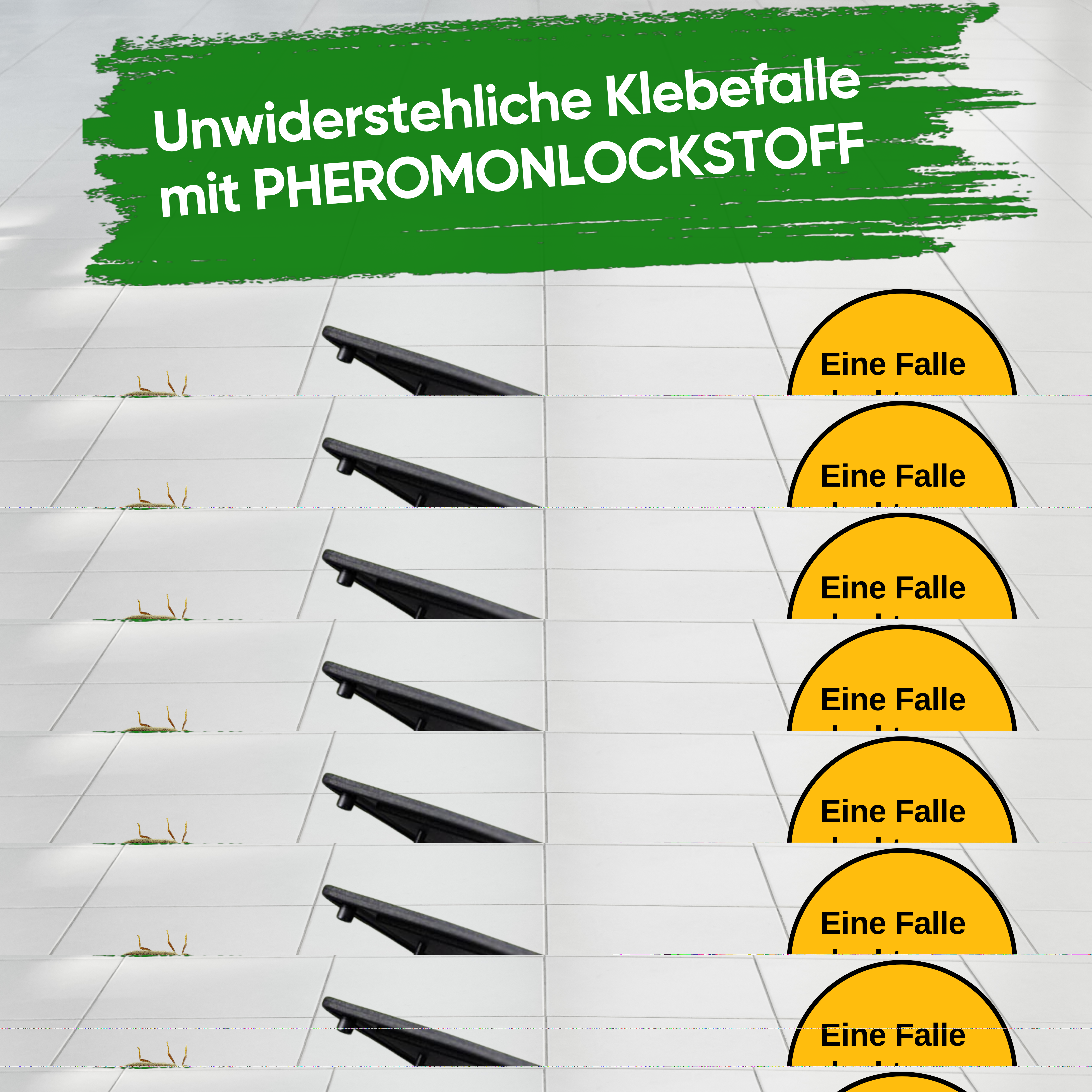 Brotkäfer Falle mit Pheromon - Lockstoff - Green Guardia - Ihr Experte für Schädlinge und Pflanzen