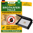 Bread beetle trap