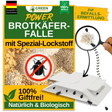Bread beetle trap