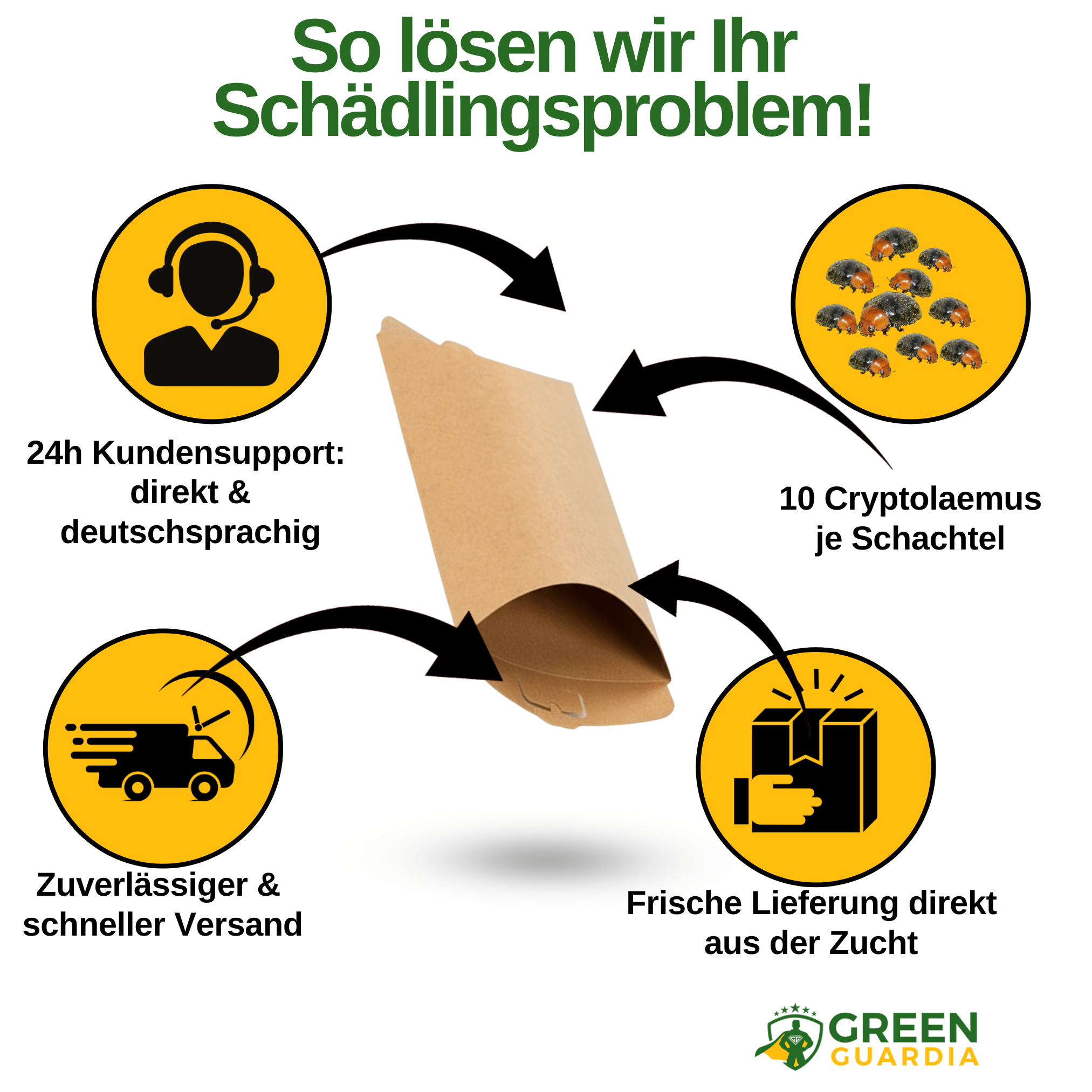 Cryptoalemus (Australischer Marienkäfer) gegen Schmier - & Blattläuse - Green Guardia - Ihr Experte für Schädlinge und Pflanzen
