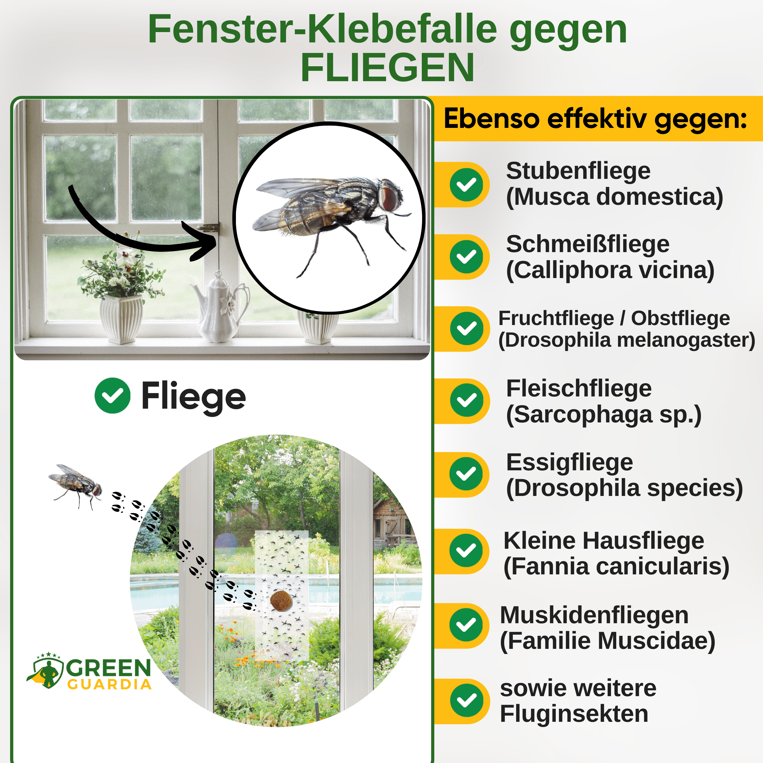 Fliegen Fenster - Falle mit Spezial - Lockstoff - Green Guardia - Ihr Experte für Schädlinge und Pflanzen
