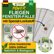 Fly window trap