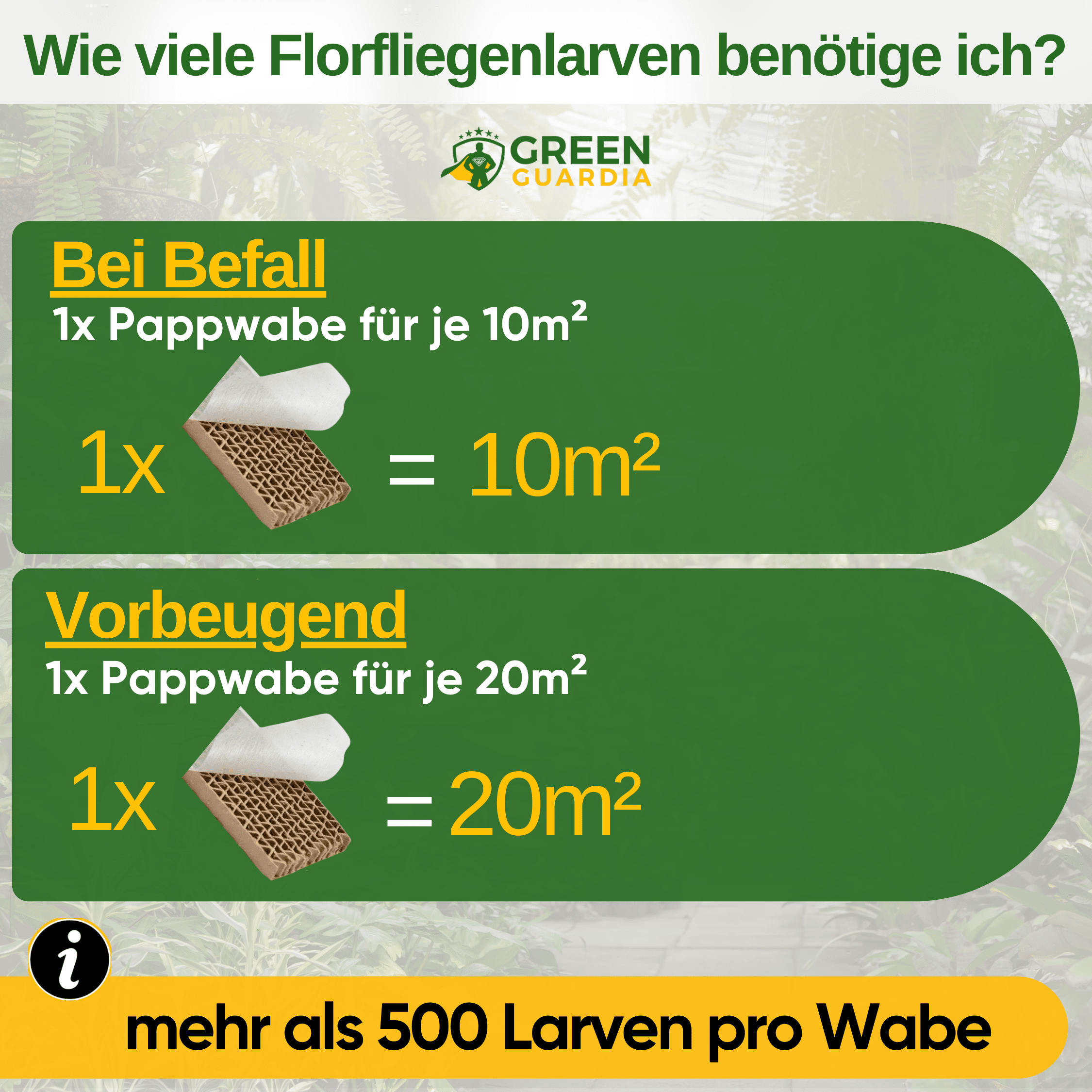 Florfliegenlarven gegen Blattläuse und Wollläuse - Green Guardia - Ihr Experte für Schädlinge und Pflanzen