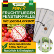 Fruit fly window trap