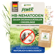 HB nematodes against vine weevils and grubs