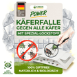 Beetle trap