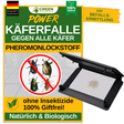 Beetle trap