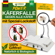 Beetle trap