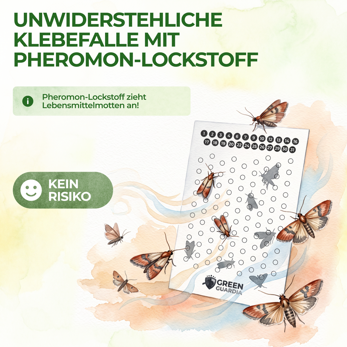 Lebensmittelmotten-Fallen mit Pheromonlockstoff