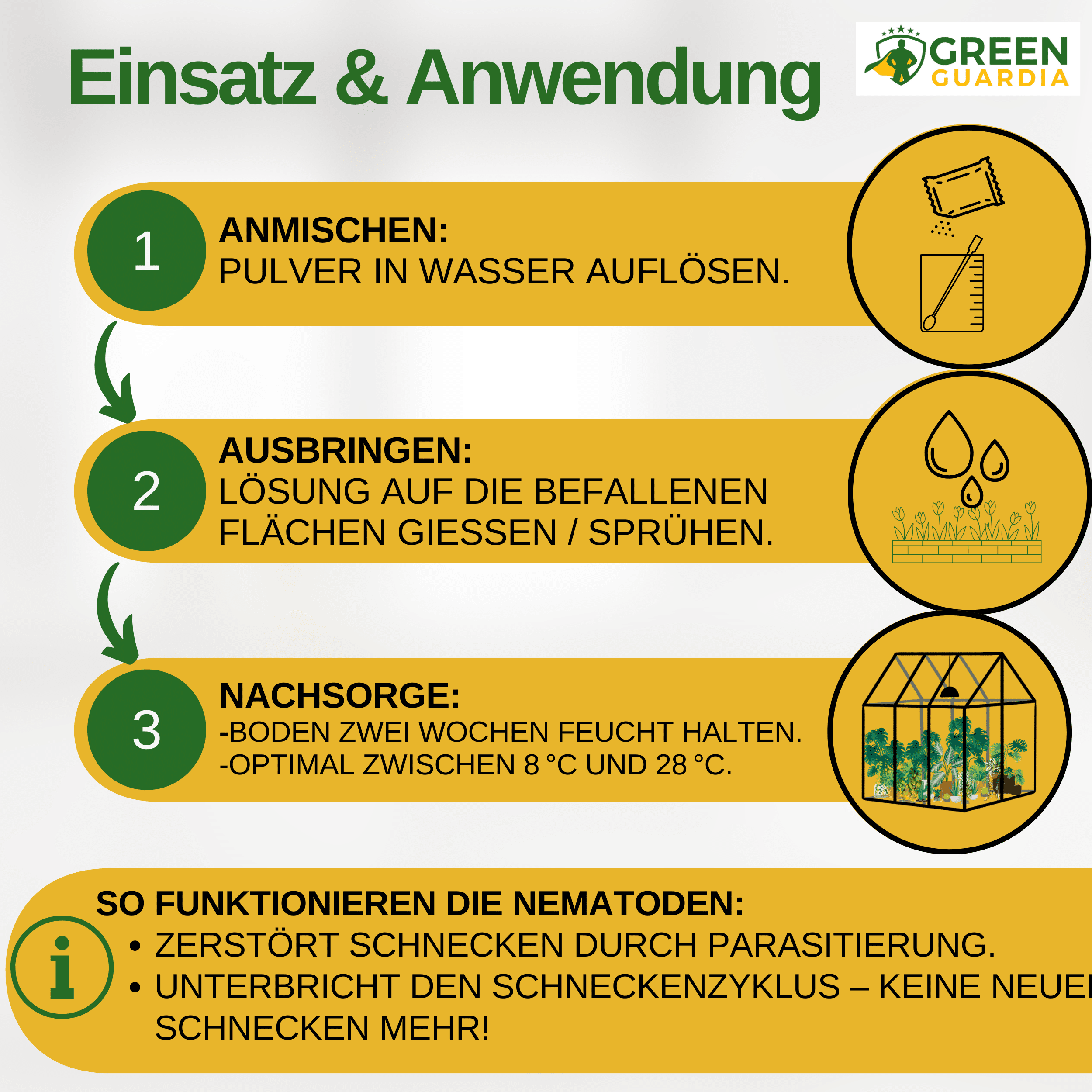 Nematoden gegen alle Arten von Schnecken - Green Guardia - Ihr Experte für Schädlinge und Pflanzen