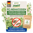 PC nematodes against snails and slugs
