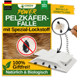 Fur beetle trap