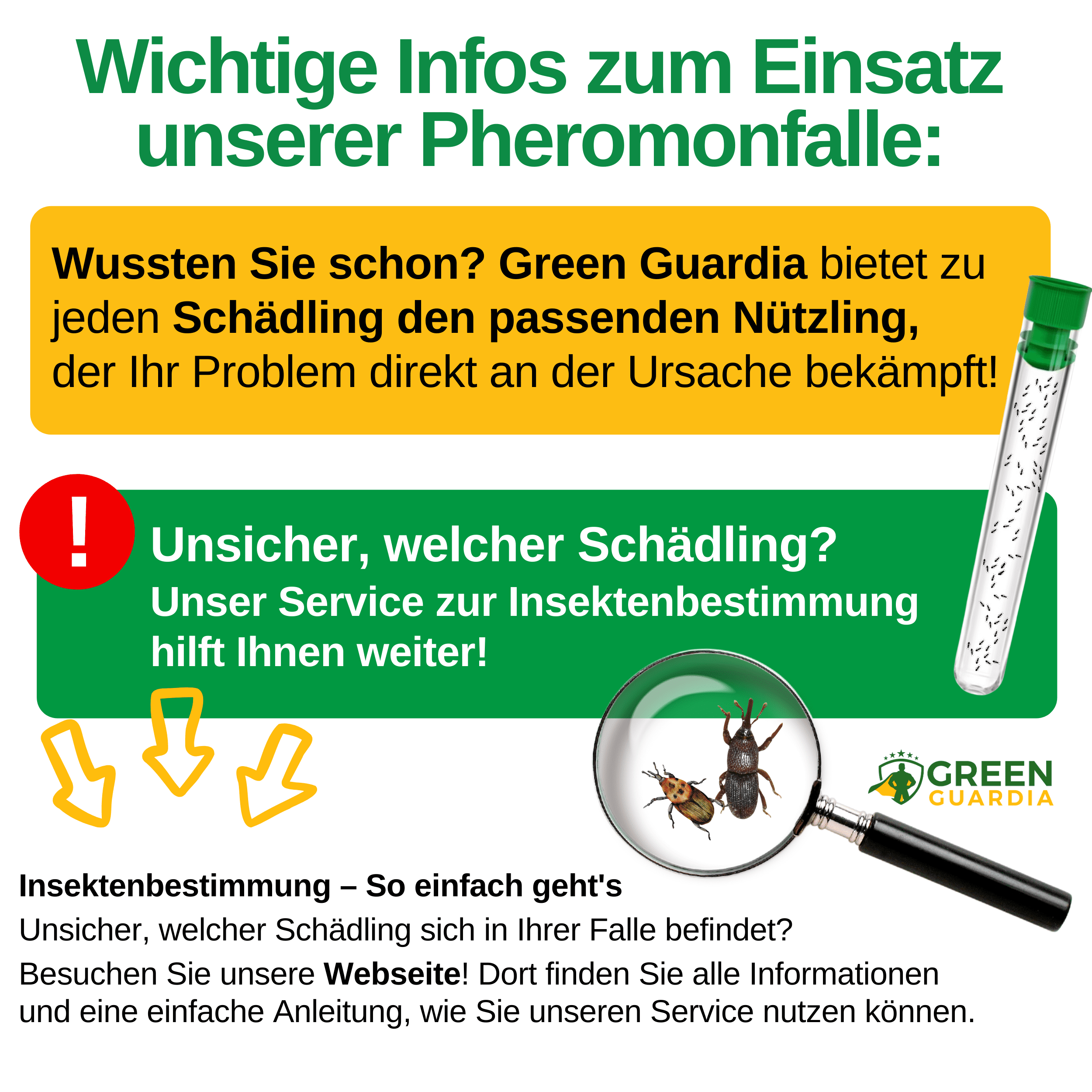 Pheromon - Lockstoff Ersatzfolien für Klebefallen (3x Stück) - Green Guardia - Ihr Experte für Schädlinge und Pflanzen