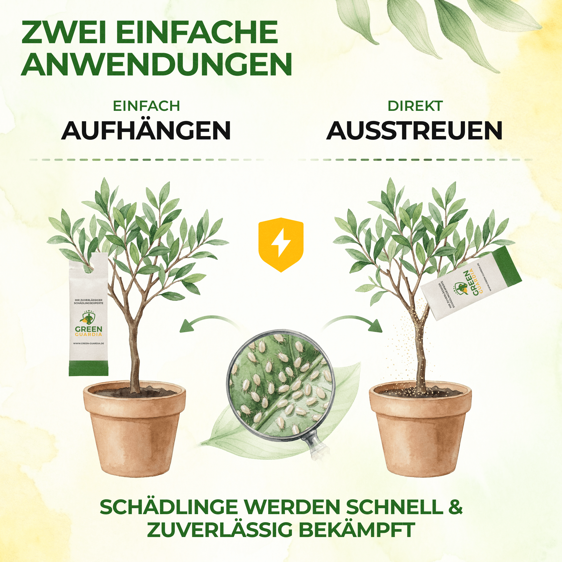Raubmilben gegen Spinnmilben - Green Guardia - Ihr Experte für Schädlinge und Pflanzen
