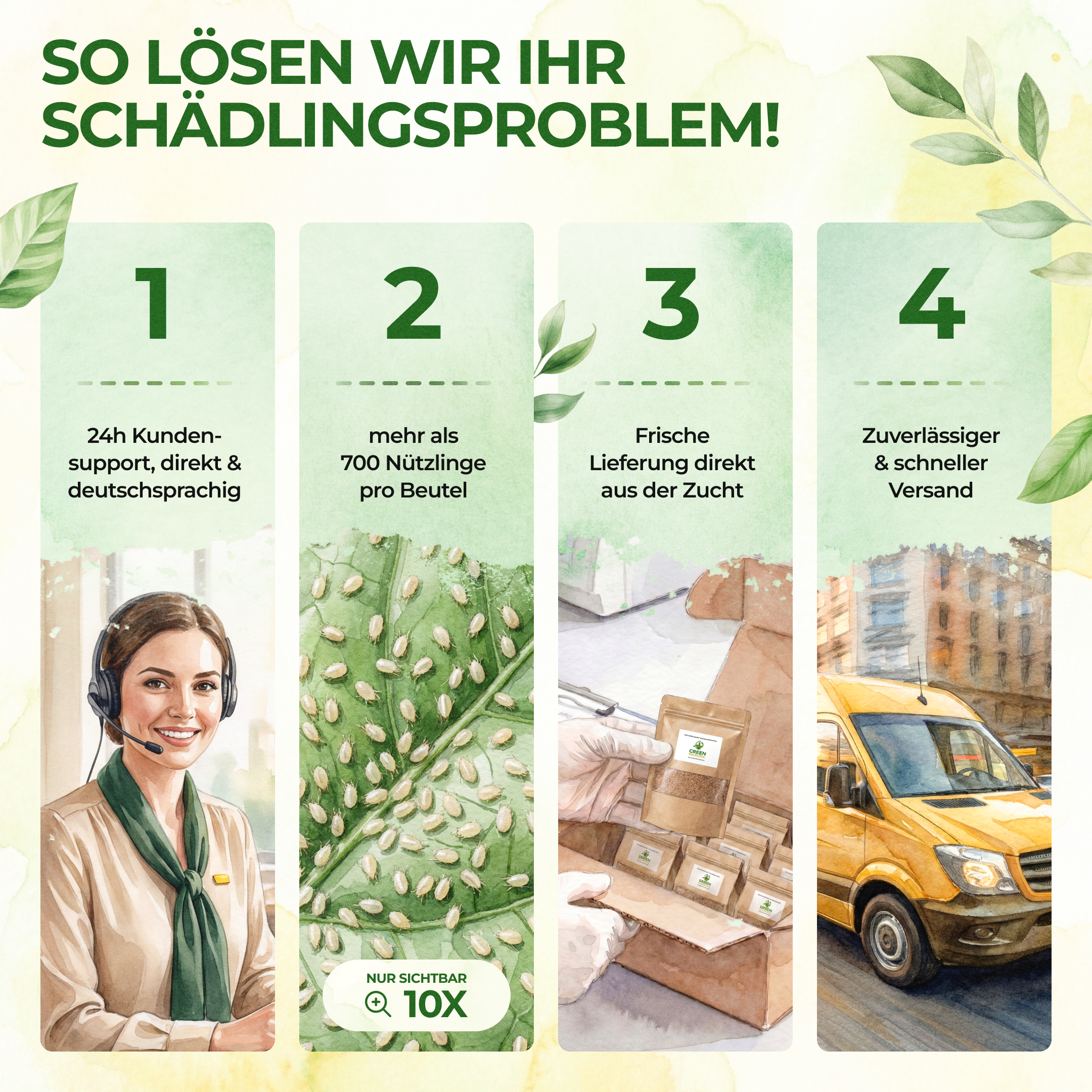 Raubmilben Mix gegen Thripse & Spinnmilben