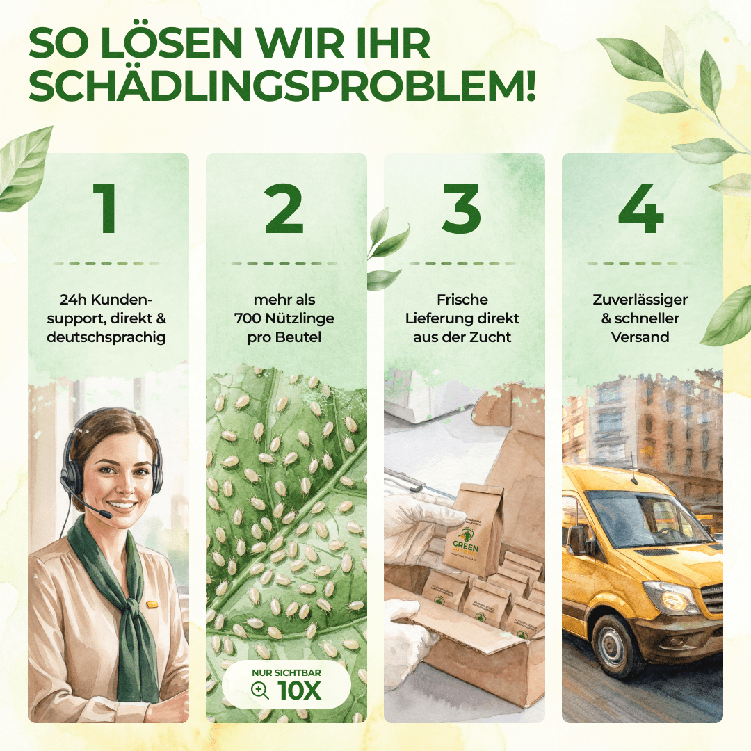 Raubmilben Mix gegen Thripse & Spinnmilben - Green Guardia - Ihr Experte für Schädlinge und Pflanzen