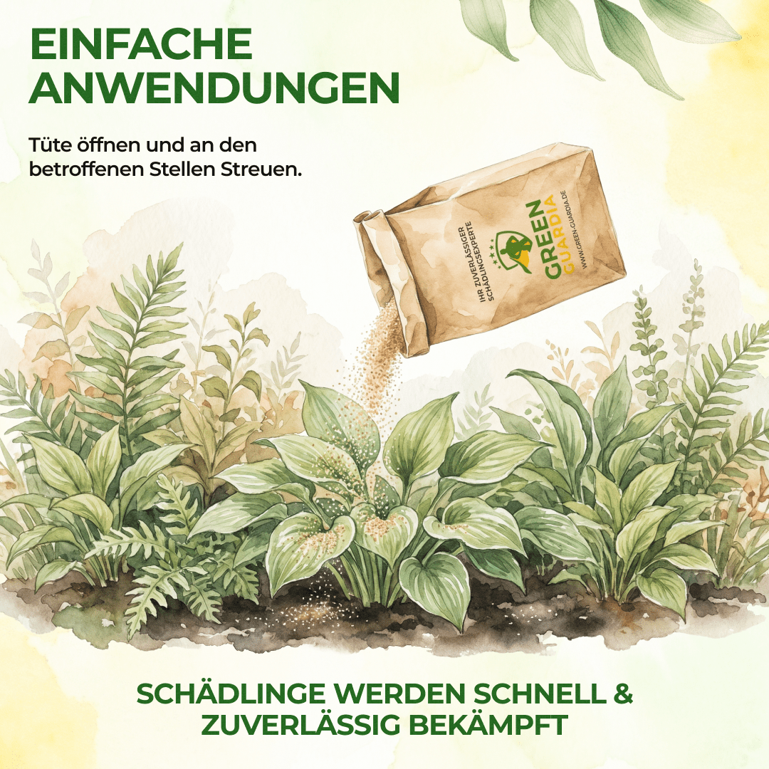 Raubmilben Mix gegen Thripse & Spinnmilben - Green Guardia - Ihr Experte für Schädlinge und Pflanzen