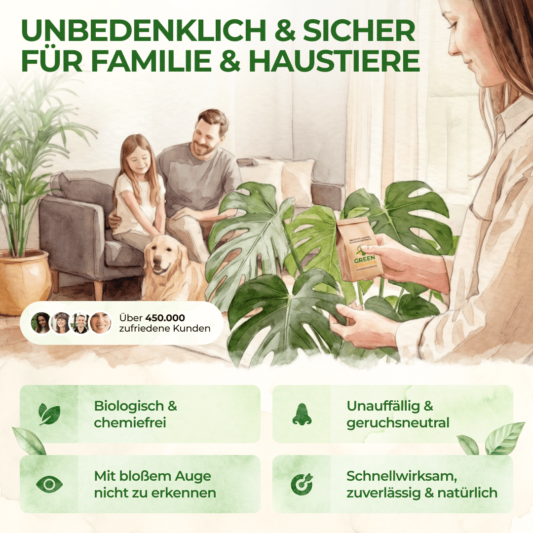 Raubmilben Mix gegen Thripse & Spinnmilben - Green Guardia - Ihr Experte für Schädlinge und Pflanzen