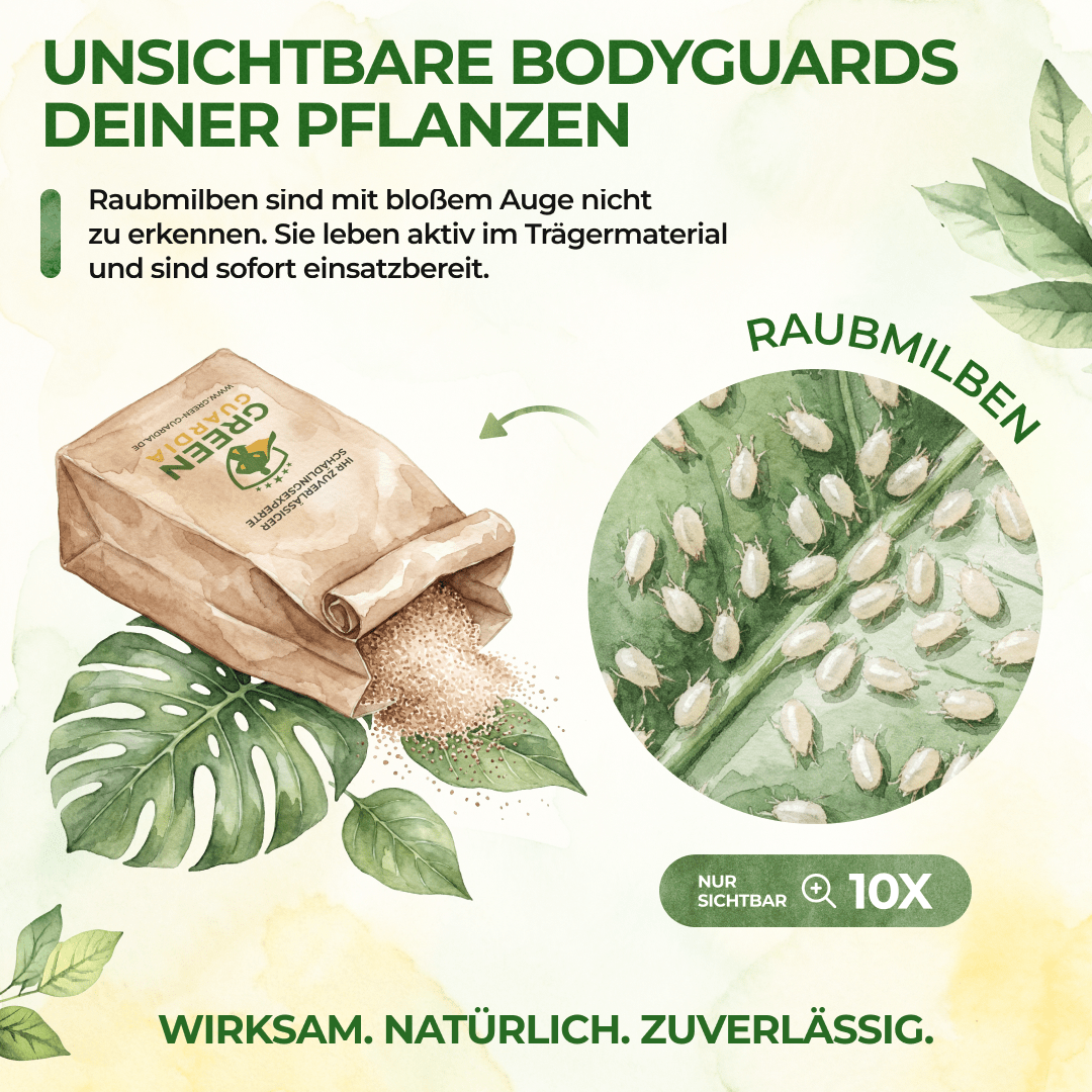 Raubmilben Mix gegen Thripse & Spinnmilben - Green Guardia - Ihr Experte für Schädlinge und Pflanzen