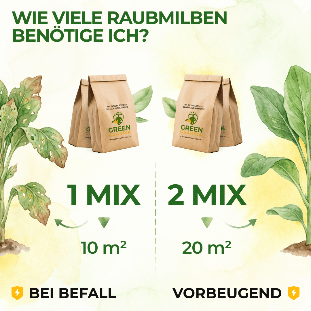 Raubmilben Mix gegen Thripse & Spinnmilben - Green Guardia - Ihr Experte für Schädlinge und Pflanzen