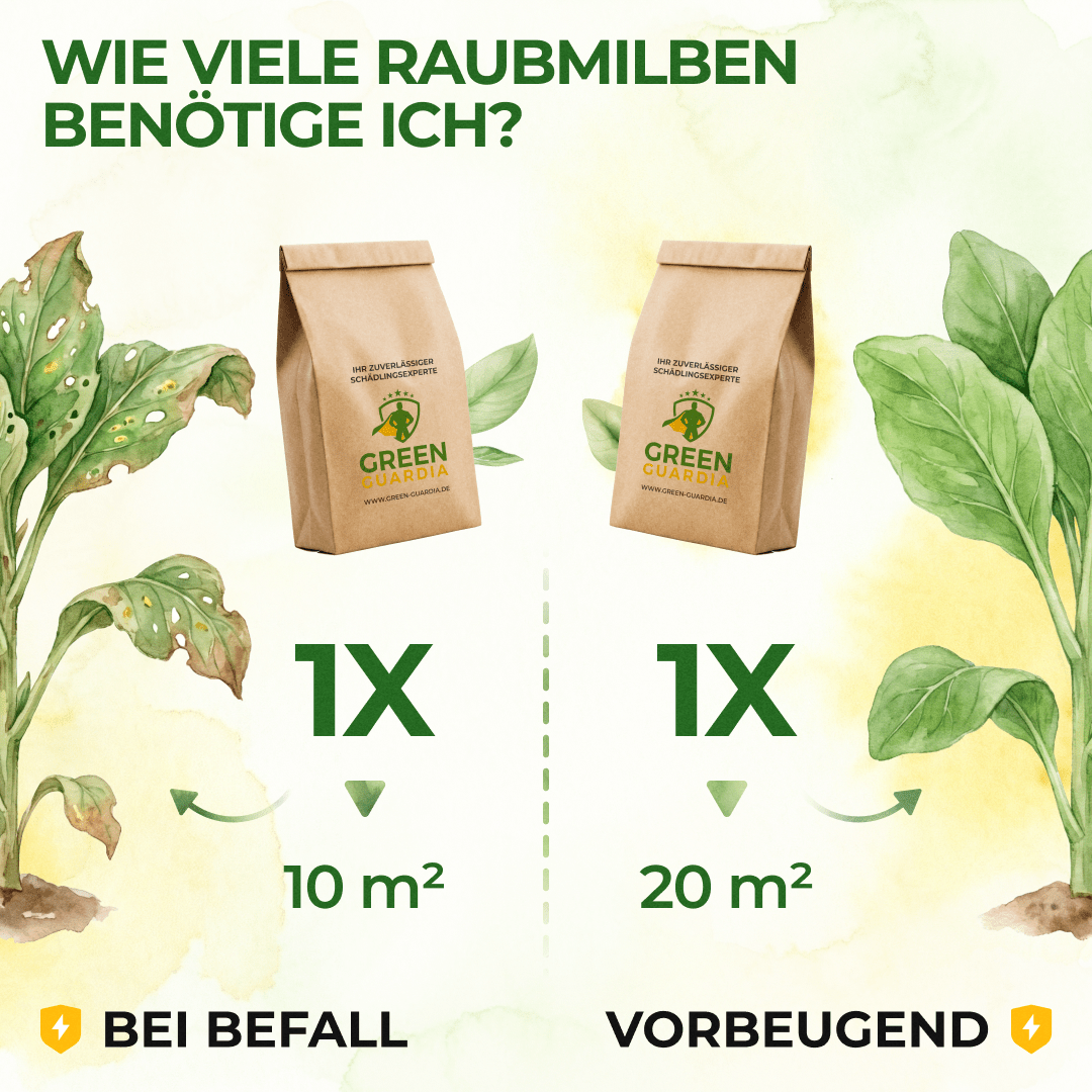 Raubmilben Mix gegen Trauermücken & Rote Vogelmilben - Green Guardia - Ihr Experte für Schädlinge und Pflanzen