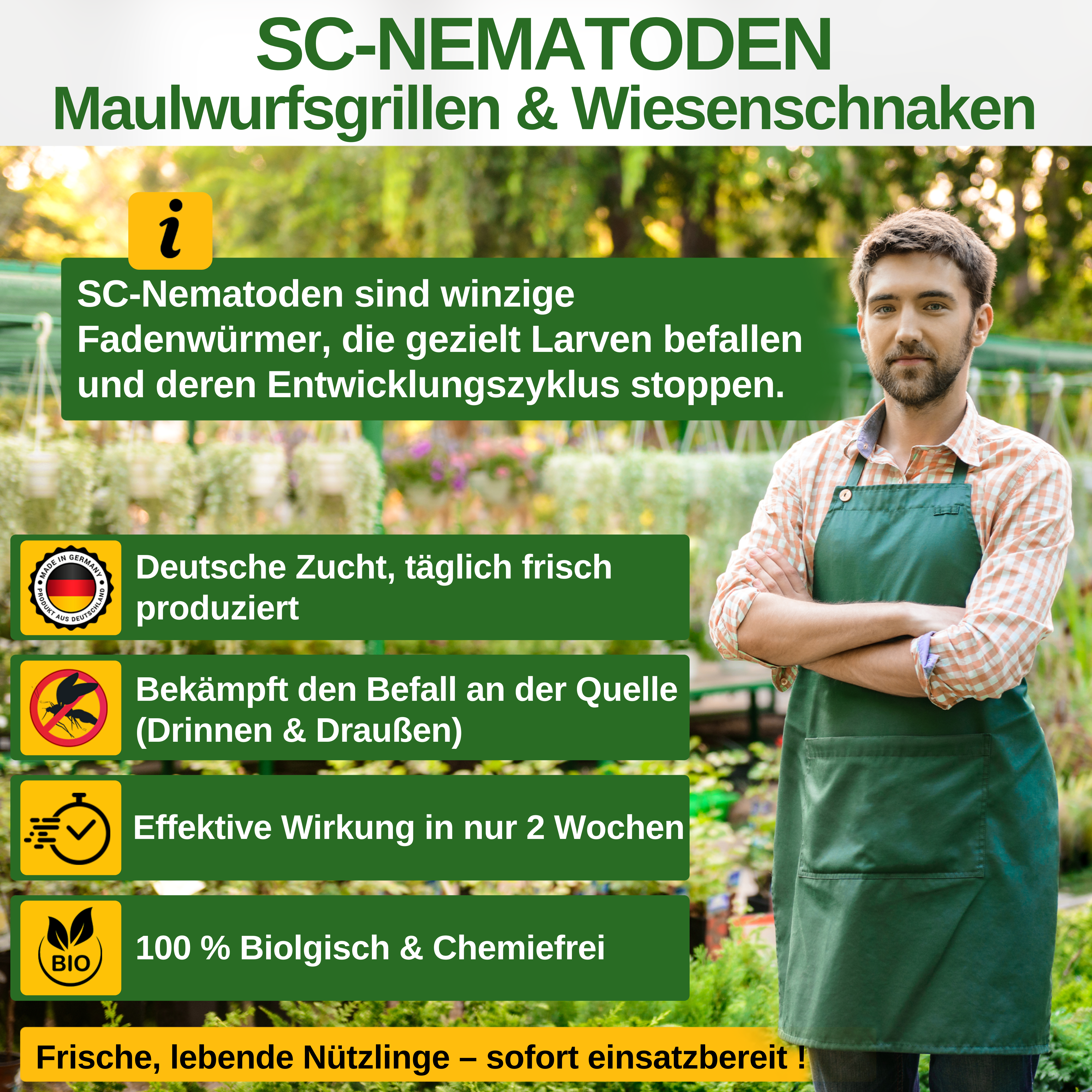 SC - Nematoden gegen gegen Maulwurfsgrillen, Wiesenschnaken und Erdraupen - Green Guardia - Ihr Experte für Schädlinge und Pflanzen