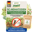 SC nematodes against mole crickets, crane flies and cutworms