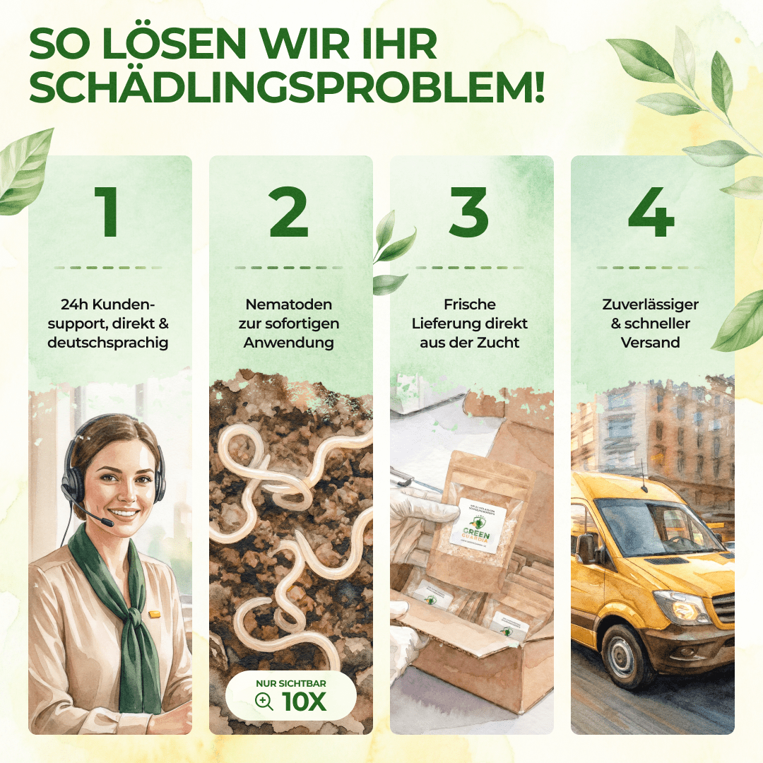 SC - Nematoden gegen Maulwurfsgrillen, Wiesenschnaken und Erdraupen - Green Guardia - Ihr Experte für Schädlinge und Pflanzen