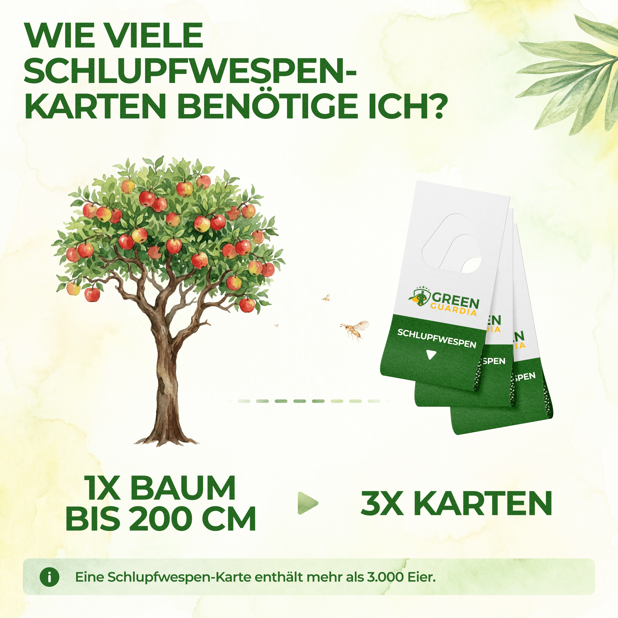 Schlupfwespen gegen Apfelwickler - Green Guardia - Ihr Experte für Schädlinge und Pflanzen