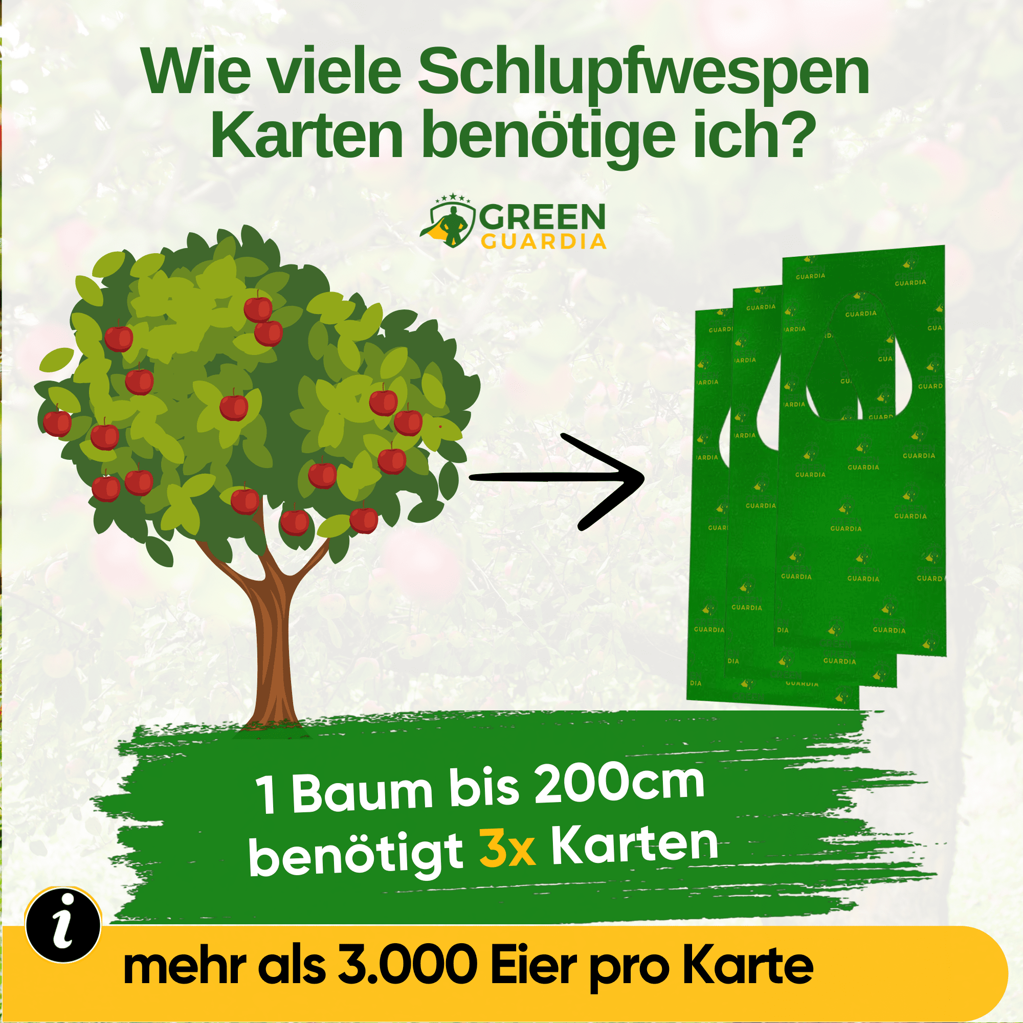 Schlupfwespen gegen Pflaumenwickler - Green Guardia - Ihr Experte für Schädlinge und Pflanzen