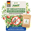 SF nematodes against codling moths