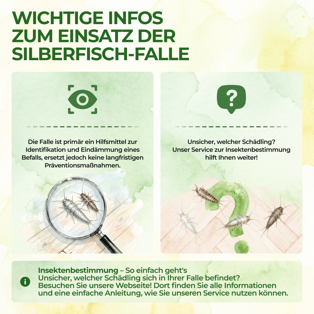 Silberfisch Falle - Green Guardia - Ihr Experte für Schädlinge und Pflanzen