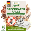 Larder beetle trap