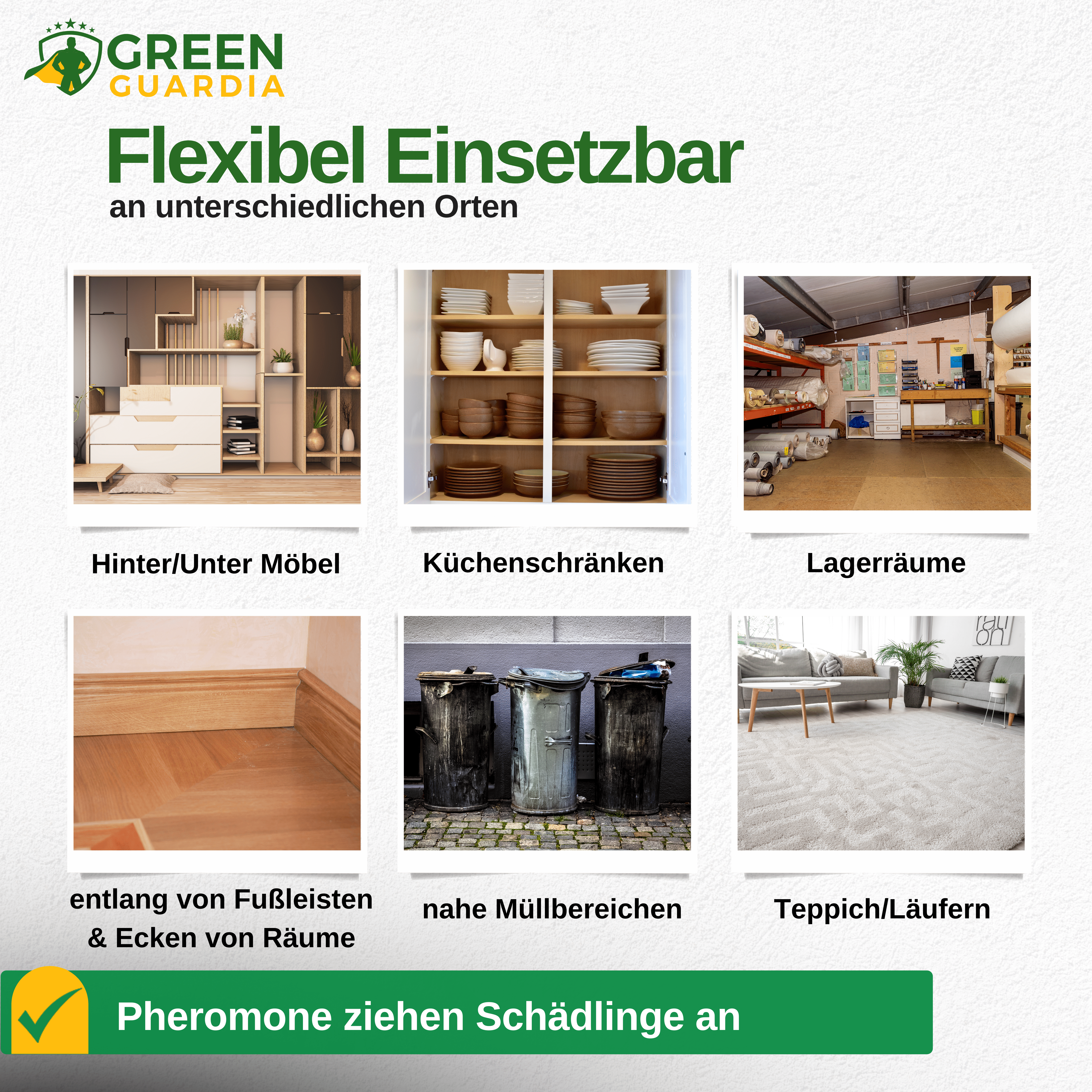 Speckkäfer Falle mit Pheromon - Lockstoff - Green Guardia - Ihr Experte für Schädlinge und Pflanzen