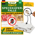 Larder beetle trap