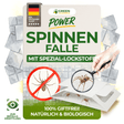 Spider trap