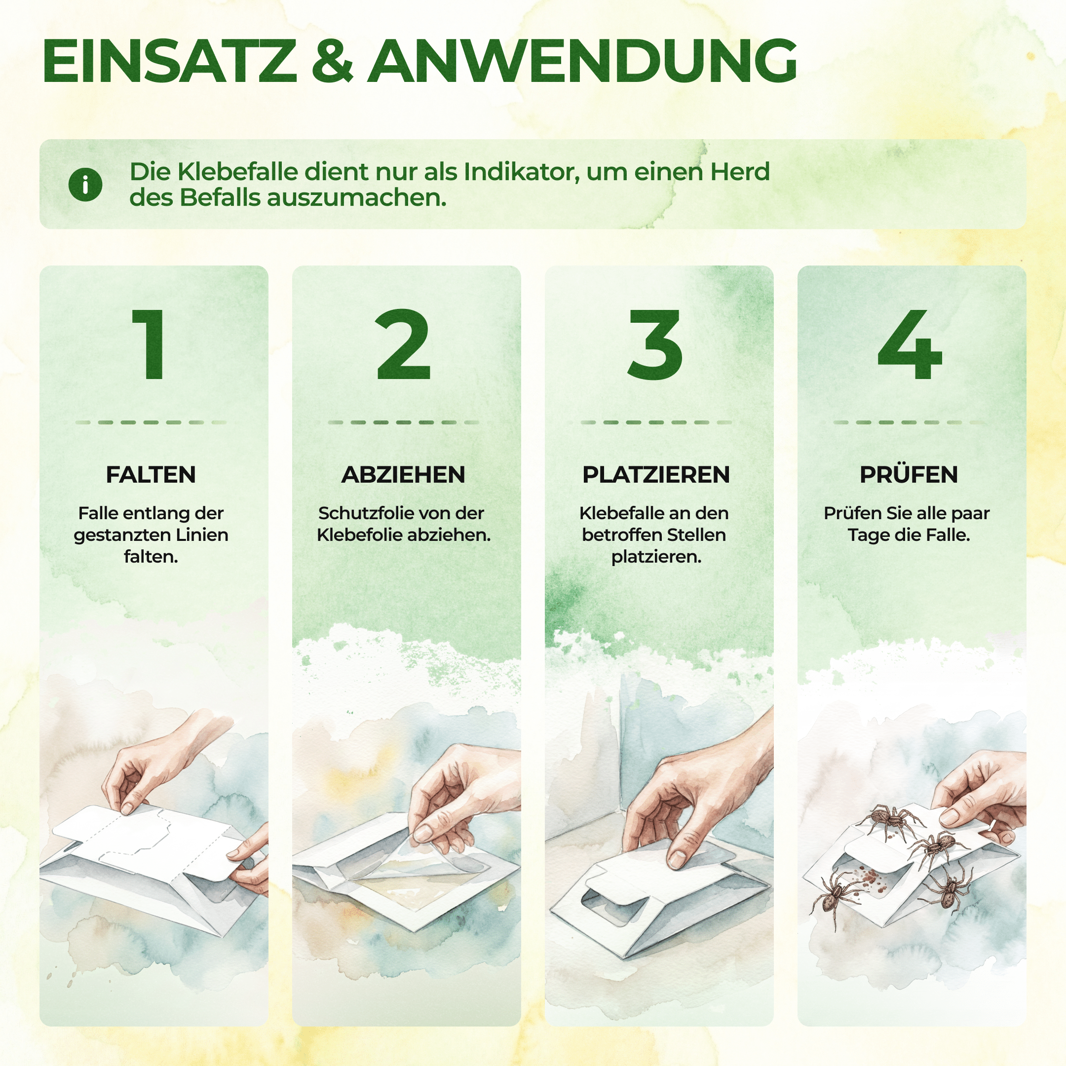 Spinnen Falle - Green Guardia - Ihr Experte für Schädlinge und Pflanzen