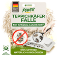 Carpet beetle trap