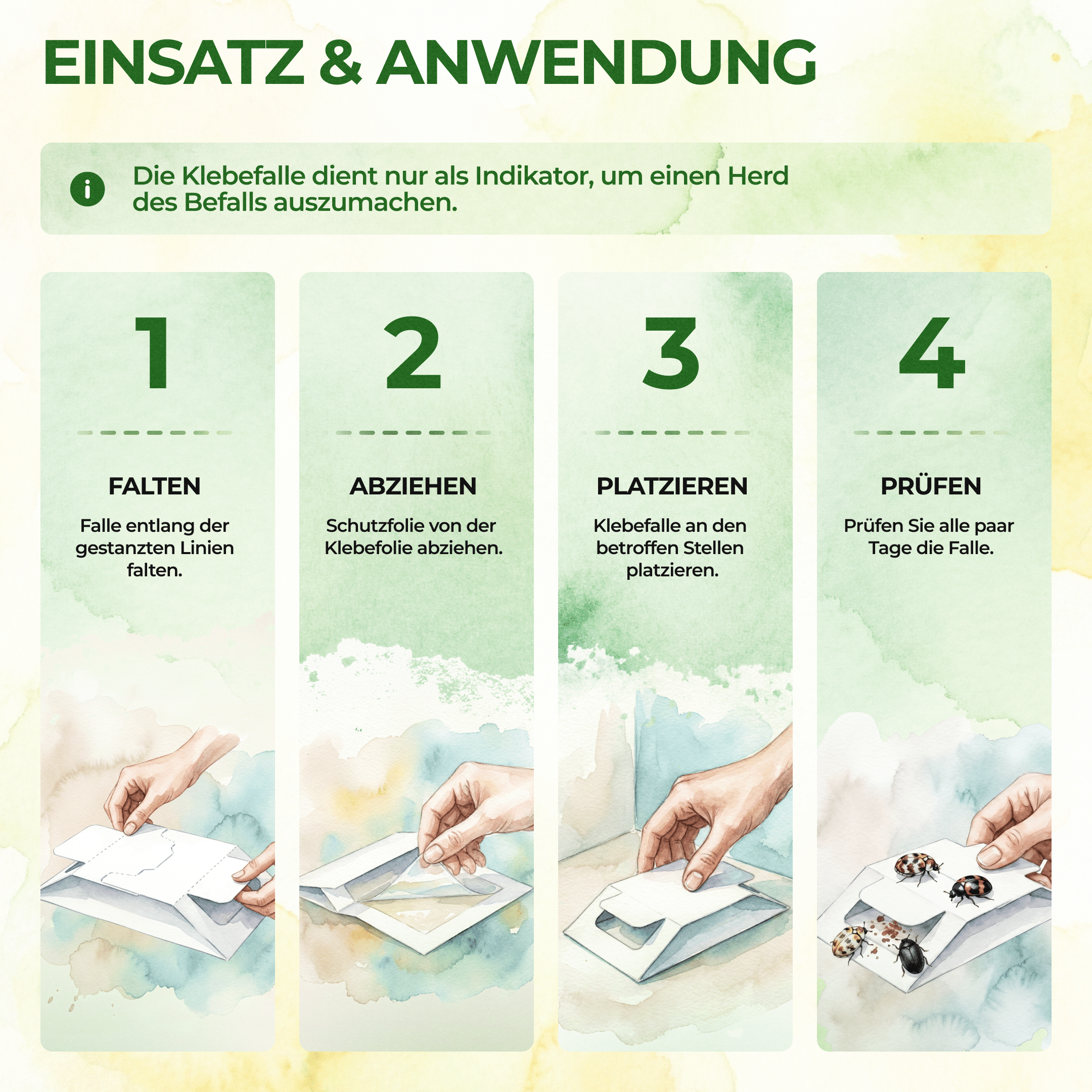 Teppichkäfer Falle - Green Guardia - Ihr Experte für Schädlinge und Pflanzen